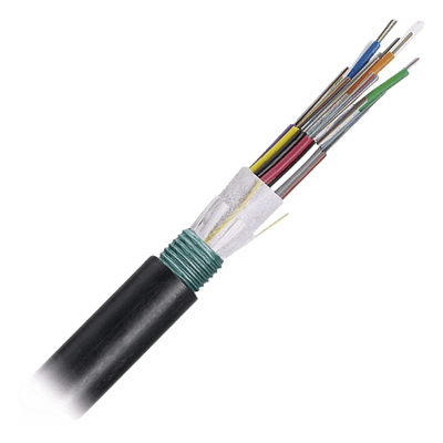 PANDUIT Cable de Fibra Óptica