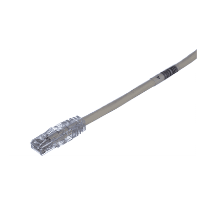 PANDUIT Cable de Parcheo
