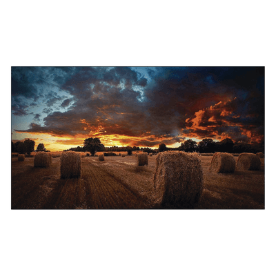 SAMSUNG ELECTRONICS Pantalla Profesional para Video Wall