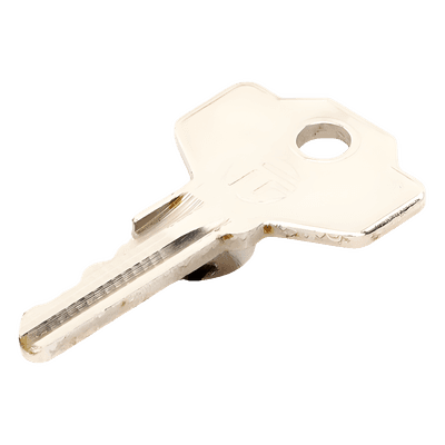 CAME Llave Codificada