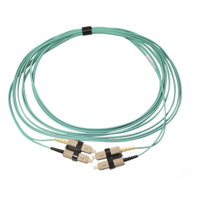 SIEMON Jumper de Fibra Óptica Multimodo 50/125 OM3