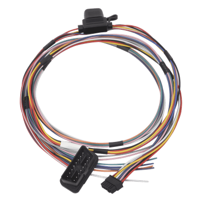 RUPTELA Arnes para conector OBD compatible con modelos TCO4LCV y TCO4LCV3G