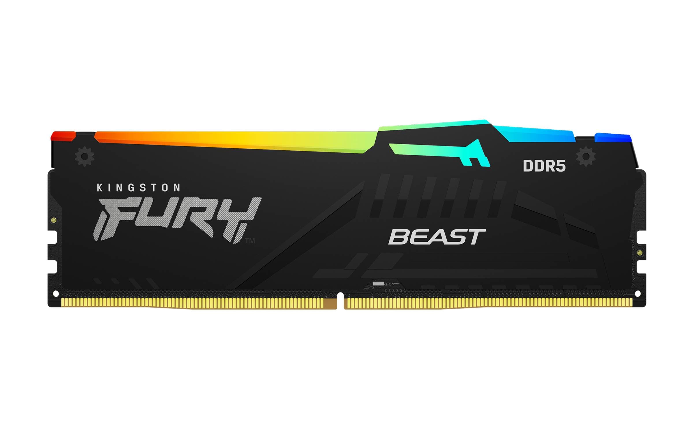 Kingston Technology MEMORIA RAM KINGSTON FURY BEAST BLACK EXPO RGB DIMM DDR5 16GB 6000MT/S CL30 1RX8 1.4V