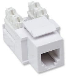 INTELLINET 210843 JACK RJ11 RJ12 KEYSTONE DE IMPACTO BLANCO